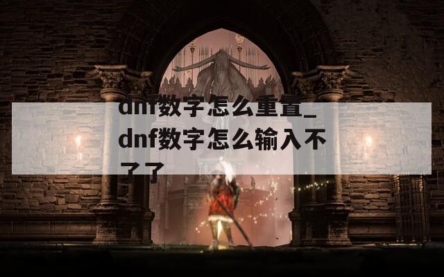 dnf数字怎么重置_dnf数字怎么输入不了了