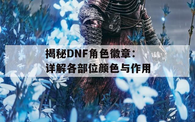 揭秘DNF角色徽章：详解各部位颜色与作用
